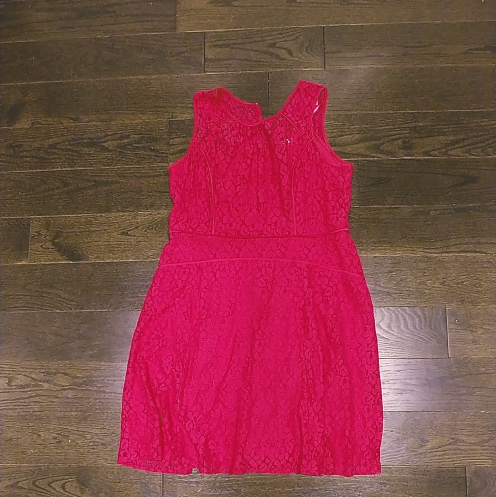 Studio one new York hot pink lace dress with linin